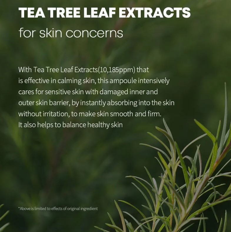 Farmstay Tea Tree Biome Calming Ampoule 50Ml - Image 3