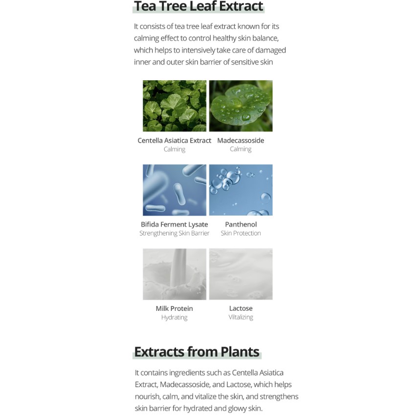 Farmstay Tea Tree Biome Calming Cream 80ml - Image 4